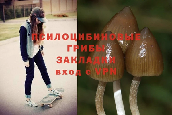 бошки Алексеевка